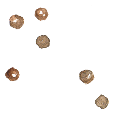 Karabiber boyalı suluboya. El çizimi taze gıda tasarımı.