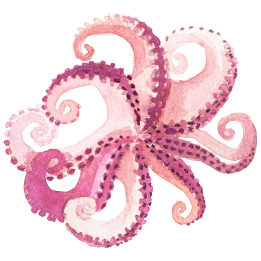 Suluboya ahtapot boyası. El yapımı taze deniz ürünleri tasarımı elementi şeffaf arkaplanda izole edildi.