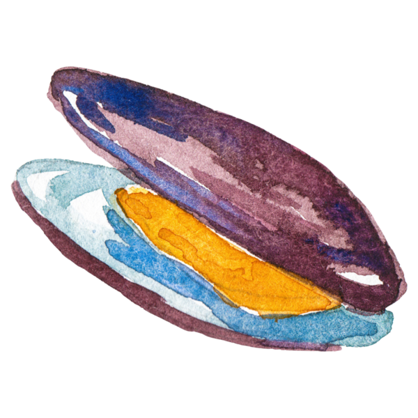 Suluboya midyeler. El yapımı deniz ürünleri tasarım elementi