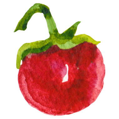 Domatesli kiraz boyalı suluboya. Elle çizilmiş taze yiyecek tasarımı