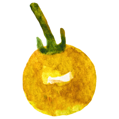 Domatesli kiraz boyalı suluboya. Elle çizilmiş taze yiyecek tasarımı