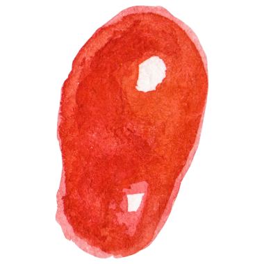 Domatesli kiraz boyalı suluboya. Elle çizilmiş taze yiyecek tasarımı