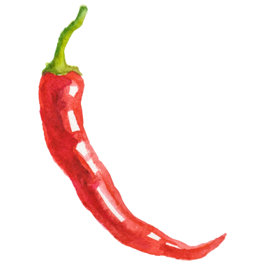 Kırmızı biber boyalı suluboya. El çizimi taze gıda tasarımı.