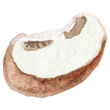 Suluboya şampiyonluğu. Elle çizilmiş taze yemek tasarımı elem