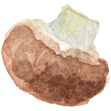 Suluboya şampiyonluğu. Elle çizilmiş taze yemek tasarımı elem