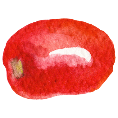 Domatesli kiraz boyalı suluboya. Elle çizilmiş taze yiyecek tasarımı