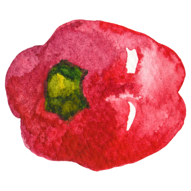 Suluboya boyalı biber. El çizimi taze gıda tasarım elementi beyaz arka planda izole.