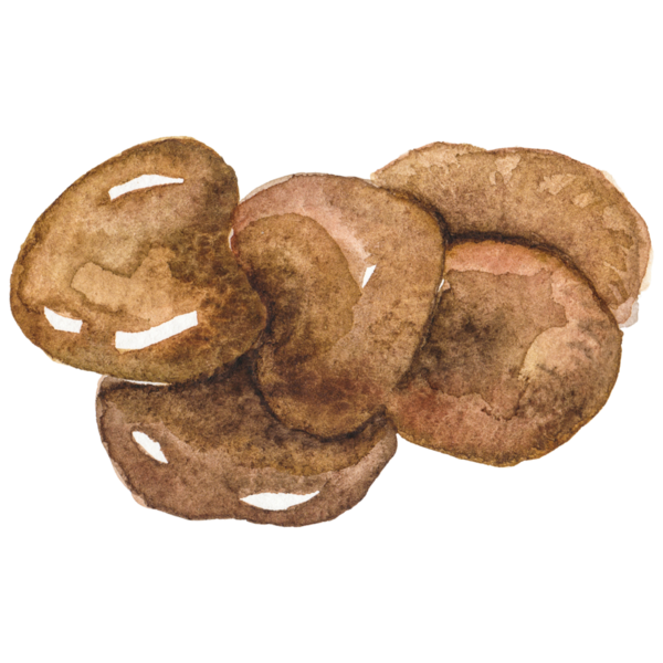 Suluboya boyalı istiridye mantarı El taze gıda tasarımı çizdi