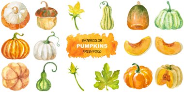 Kabak boyalı vektör suluboya. El çizimi tasarım ögeleri beyaz arkaplanda izole edildi.