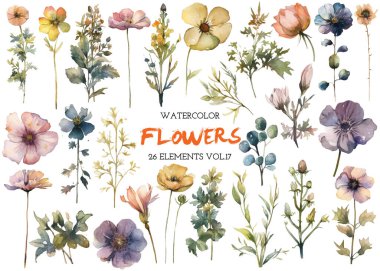 Vektör suluboya çiçek. El çizimi çiçek tasarımı elementleri beyaz arkaplanda izole.