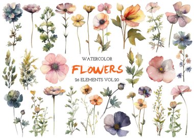 Vektör suluboya çiçek. El çizimi çiçek tasarımı elementleri beyaz arkaplanda izole.
