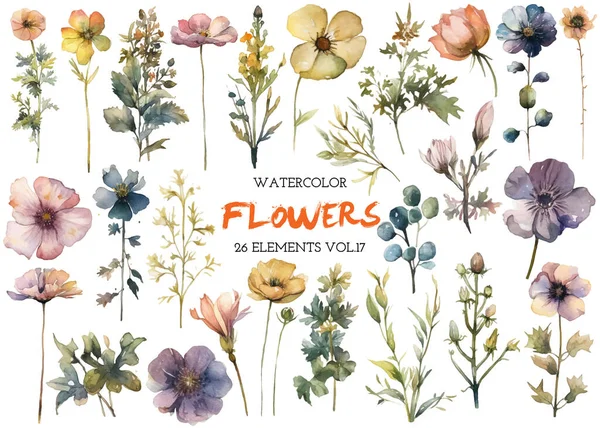 Vektör suluboya çiçek. El çizimi çiçek tasarımı elementleri beyaz arkaplanda izole.