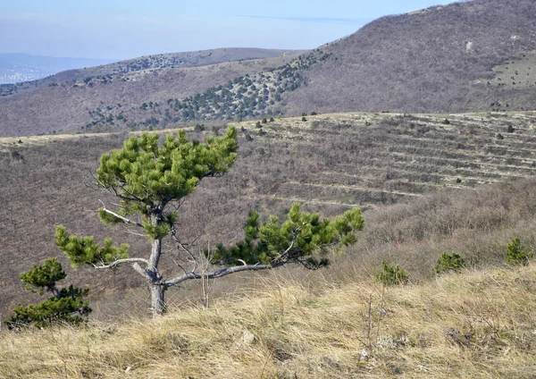 deniz tarafından dağlarda yürümek
