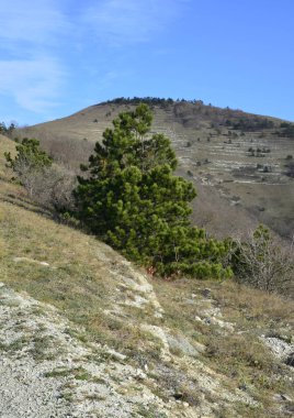 deniz tarafından dağlarda yürümek