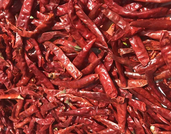 Kurutulmuş kırmızı biber biber tam kare çekim