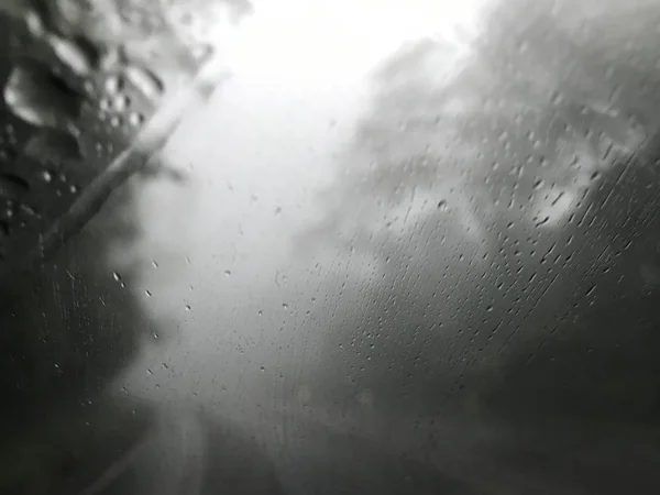 Tiro Carros Pára Brisas Chuva Nevoeiro Meio Floresta Pinheiros Dirigir — Fotografia de Stock