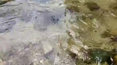 Altındaki kayaları görebilen temiz nehir suyunun video klibi, akıllı telefon tarafından çekilmiş.