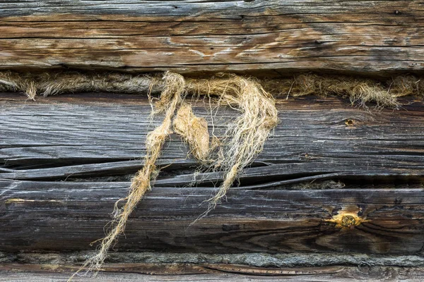 Os pássaros puxaram o reboque da parede de uma casa velha do log — Fotografia de Stock