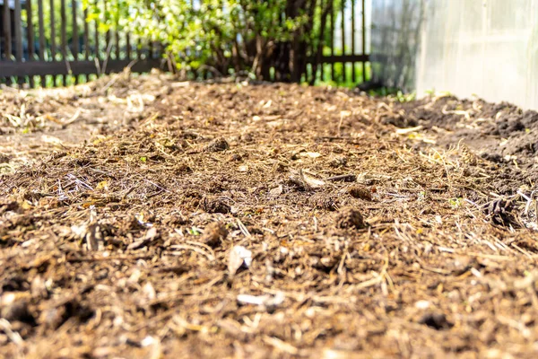 Organic soil fertilization to improve soil structure and preserve the ecosystem, selective focus — Stock Photo, Image