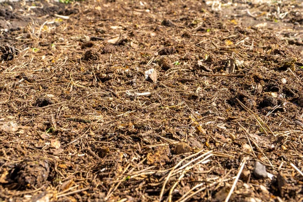 Preservação do microclima na camada fértil do solo — Fotografia de Stock