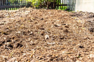 Yüzeyi organik maddelerle gizleyerek toprağın dış etkilerden korunması.