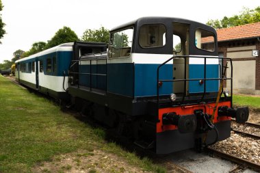 Su damlalı güzel beyaz gül