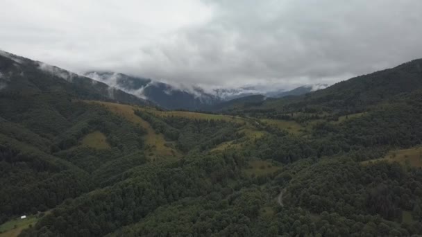 Aerial View Carpathian Mountains Ukraine Covered Clouds — Stock Video