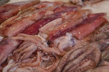 Palermo, Sicilya geleneksel sokak piyasada satılan taze çiğ kalamar, yakın çekim