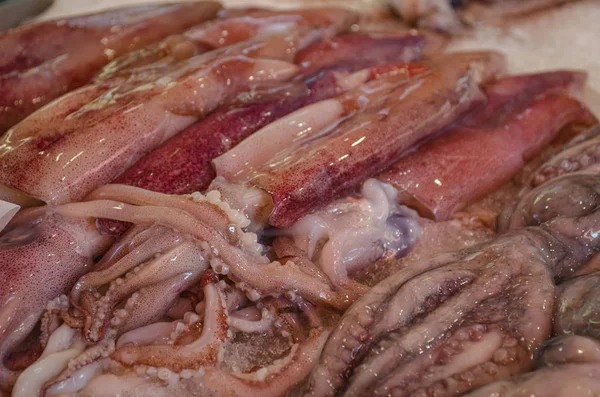 Palermo, Sicilya geleneksel sokak piyasada satılan taze çiğ kalamar, yakın çekim