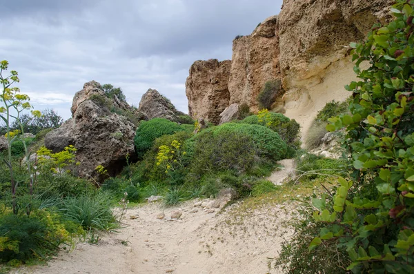 Schöne Und Malerische Wanderung Der Ghajn Tuffieha Bucht Malta Wanderung — Stockfoto