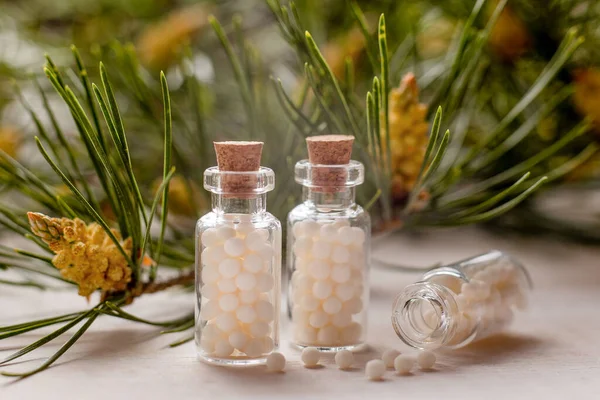 Homeopathic pills in glass bottles pine tree close up. Homeopathy, naturopathy and alternative medicine.