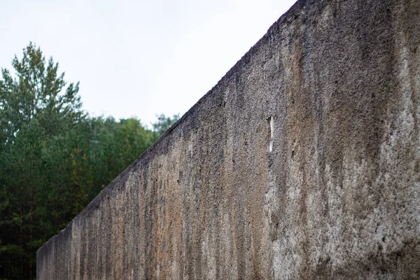 Vecchio Muro Cemento Sullo Sfondo Della Foresta Primo Piano — Foto Stock