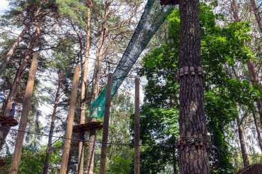 Ormandaki engelli parkurun bir parçası. Sıra dışı spor.