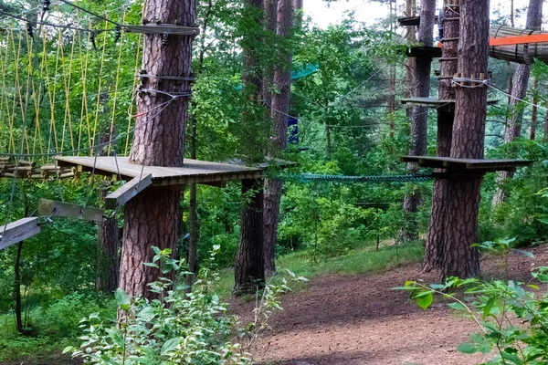 Ladder for an obstacle course in the forest. Extreme sport.