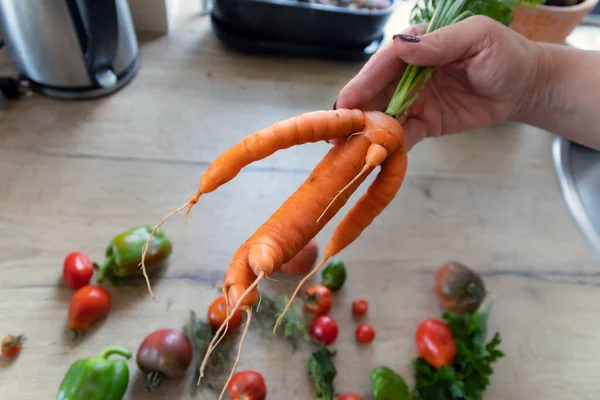 Whimsical Carrot Female Hand Background Table — Stock Photo, Image