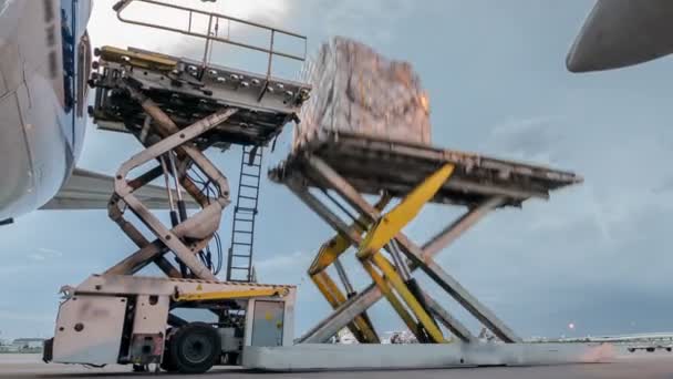 貨物機の外に貨物を積み込む タイムラプスをズームアウト — ストック動画