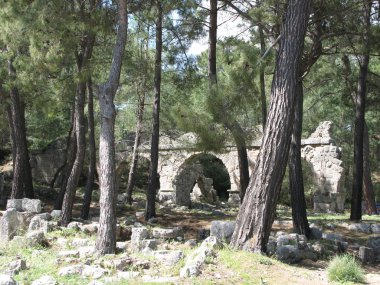 Tarihin nefesini hisset. Ormandaki antik binaların kalıntıları.