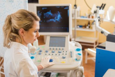 Ultrason testi. Gebelik. Tarayıcı ile fetal yaşam kontrol jinekolog. Sınav.