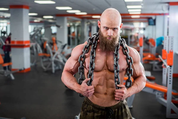 A bald, bearded bodybuilder with large relief muscles holds a heavy thick chain in his hands. Bright gym.