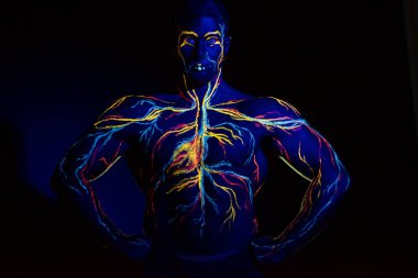 Yetişkin bir erkek vücudunda dolaşım sistemi vücut sanatıuv resmi. Kaslı bir atletin göğsünde, damarlar ve arterler floresan boyalar ile çizilir. Neon ışık.