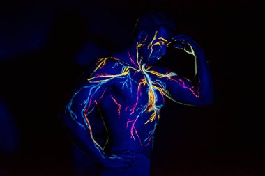 Uv desenleri bir adamın vücudunda dolaşım sisteminin vücut sanatı. Kaslı bir atletin göğsünde, damarlar ve arterler floresan boyalar ile çizilir. Vücut geliştirmeci pazı düzeltti