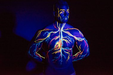 Yetişkin bir erkek vücudunda dolaşım sistemi vücut sanatıuv resmi. Kaslı bir atletin göğsünde, damarlar ve arterler floresan boyalar ile çizilir. Neon ışık.