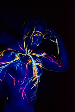 Uv desenleri bir erkek vücut üzerinde dolaşım sisteminin vücut sanatı. Kaslı bir atletin göğsünde, damarlar ve arterler floresan boyalar ile çizilir. Vücut geliştirmeci pazı düzeltti