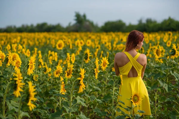 O femeie cu părul roșu într-o rochie galbenă stă într-un câmp de floarea-soarelui. O fată frumoasă într-un soare de fustă se bucură de o zi fără nori în mediul rural. Încuietori roz de păr . — Fotografie, imagine de stoc
