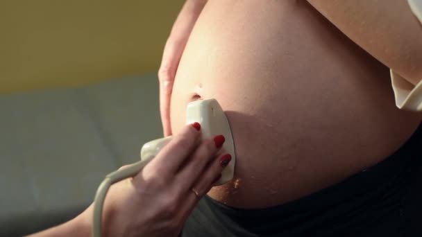 女性婦人科医は妊婦に胎児の超音波検査を行います 接近中だ 周産期センター 妊娠中の第二の学期の間に腹部の検査 — ストック動画