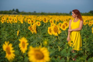Sarı elbiseli kızıl saçlı bir kadın ayçiçeği tarlasında duruyor. Bir etek güneşgüzel kız kırsal bir bulutsuz bir gün sahiptir. Pembe saç kilitleri.