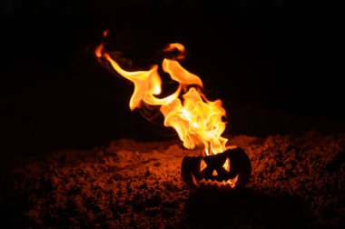 Balkabağındaki alev dilleri. jack-o-fener siyah bir arka plan üzerinde yanıyor. Yerde Cadılar Bayramı sembolü. Hediye ver yoksa karışmam. Yakın çekim.