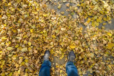 Sarı yapraklı, sonbahar asfaltı üzerinde kot pantolonlu ve gri spor ayakkabılı erkekler. Birinci şahıs görünümü.