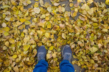 Sarı yapraklı, sonbahar asfaltı üzerinde kot pantolonlu ve gri spor ayakkabılı erkekler. Birinci şahıs görünümü.