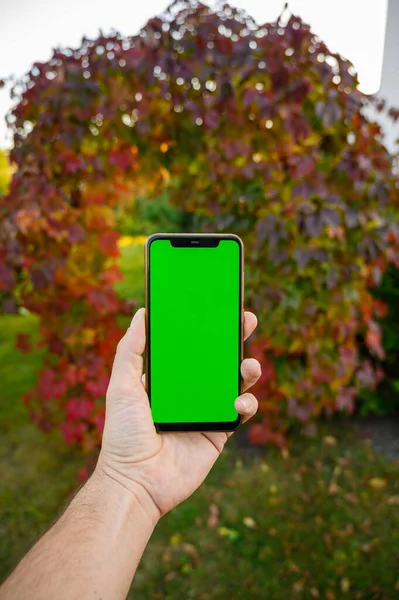 Una mano mans sostiene un teléfono inteligente moderno con una pantalla verde en el fondo de un parque de otoño . — Foto de Stock